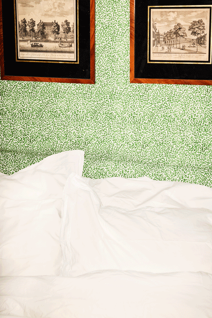 Java | Verdant Green