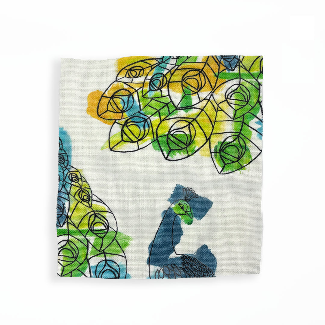 Peacock | Bright Coastal